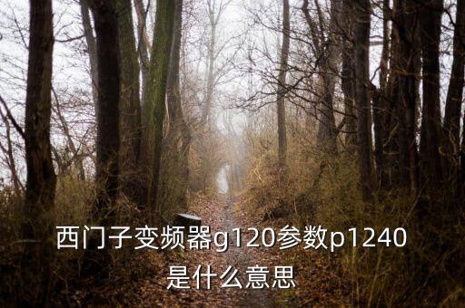 西門子g120，西門子變頻器G120故障