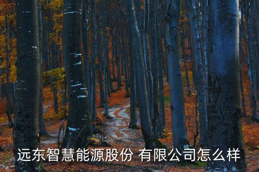 遠(yuǎn)東智慧能源股份 有限公司怎么樣