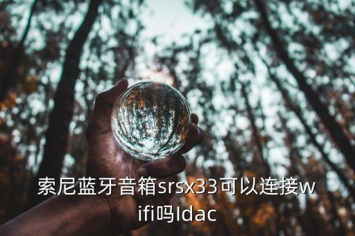 索尼藍牙音箱srsx33可以連接wifi嗎Idac
