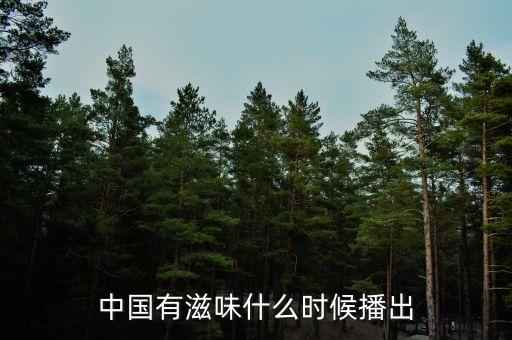 中國有滋味什么時候播出