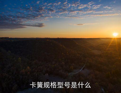 卡簧自動(dòng)化設(shè)備,四大常見(jiàn)卡簧類(lèi)型之一