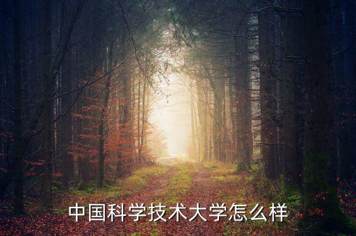 中國科學(xué)技術(shù)大學(xué)怎么樣