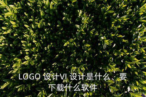 LOGO 設(shè)計VI 設(shè)計是什么、要下載什么軟件