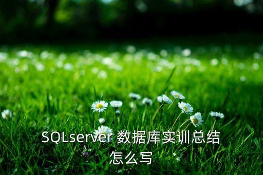 SQLserver 數(shù)據(jù)庫實訓(xùn)總結(jié)怎么寫
