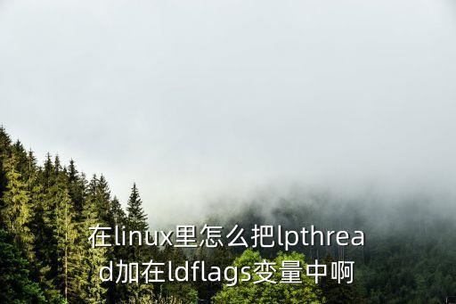 在linux里怎么把lpthread加在ldflags變量中啊