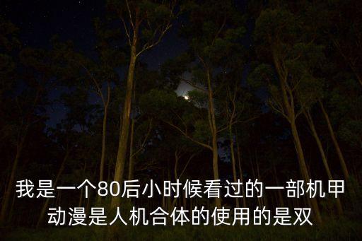 我是一個80后小時候看過的一部機甲動漫是人機合體的使用的是雙