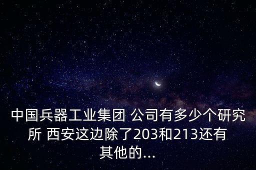 中國兵器工業(yè)集團 公司有多少個研究所 西安這邊除了203和213還有其他的...