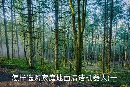 掃地機(jī)器人 山寨,關(guān)于機(jī)器人掃地機(jī)你必須知道的事兒