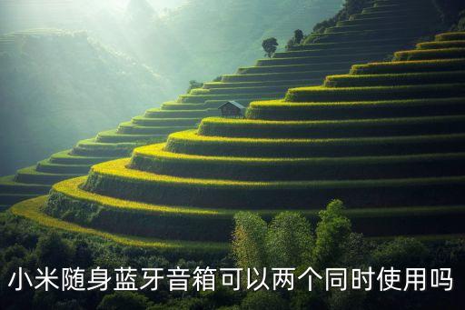 小米隨身藍牙音箱可以兩個同時使用嗎