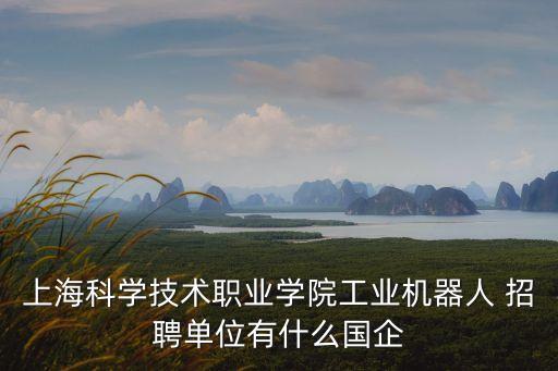 上?？茖W(xué)技術(shù)職業(yè)學(xué)院工業(yè)機(jī)器人 招聘單位有什么國(guó)企