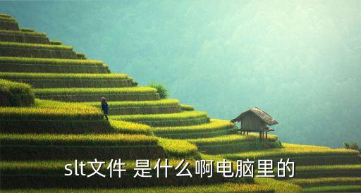 slt文件 是什么啊電腦里的