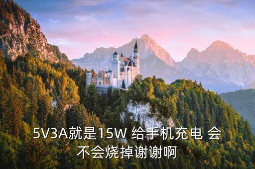 5V3A就是15W 給手機(jī)充電 會(huì)不會(huì)燒掉謝謝啊