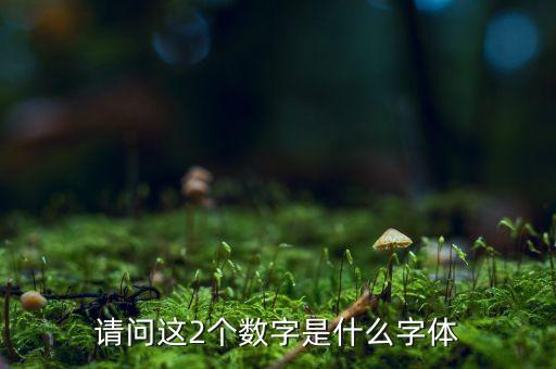 請問這2個數(shù)字是什么字體