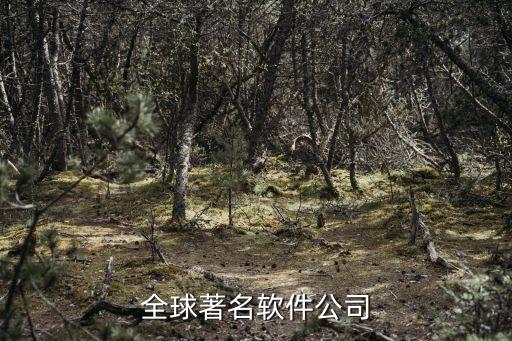 全球著名軟件公司