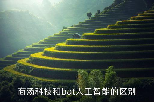 商湯科技和bat人工智能的區(qū)別