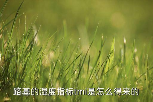 TMI,我的世界tmi是什么鬼?原來是輪胎磨損標記