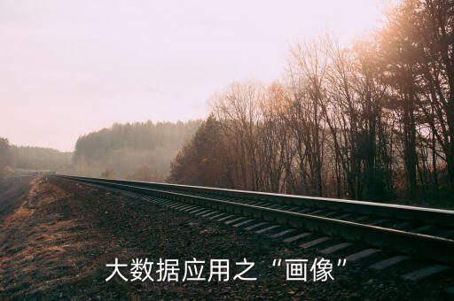 大數(shù)據(jù)應(yīng)用之“畫像”