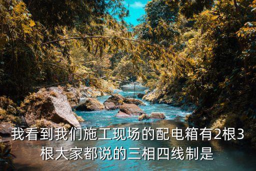 三相四線制配電箱，我看到我們施工現(xiàn)場(chǎng)的配電箱有2根3根大家都說的三相四線制是