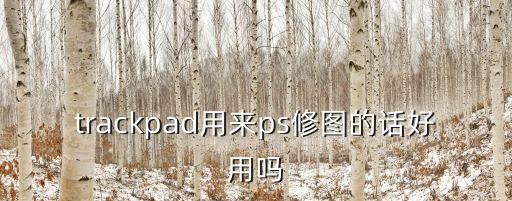 trackpad，trackpad和macbook pro自帶的觸摸板有什么區(qū)別