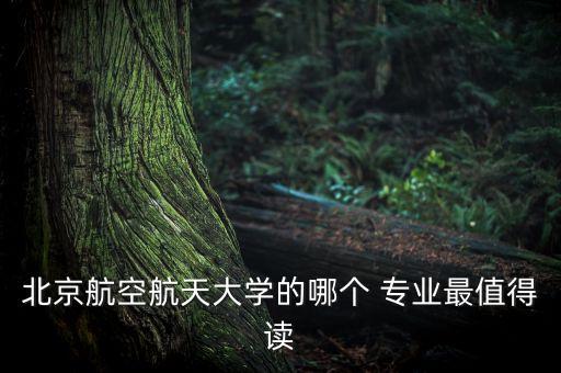北京航空航天大學的哪個 專業(yè)最值得讀
