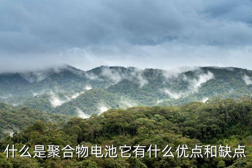 聚合物電芯，什么是聚合物電池它有什么優(yōu)點(diǎn)和缺點(diǎn)