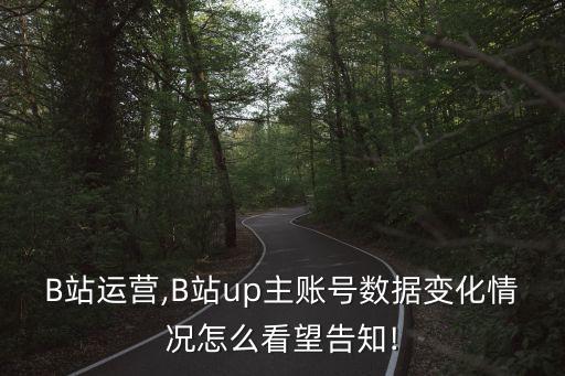B站運營,B站up主賬號數(shù)據(jù)變化情況怎么看望告知!