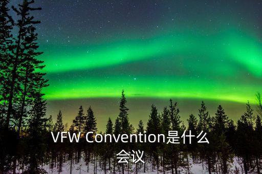 VFW，vfwMicrosoft WDM Image Capture Win320是什么東西
