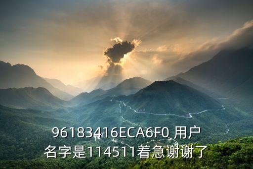 96183416ECA6F0 用戶名字是114511著急謝謝了