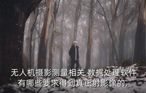  無人機攝影測量相關(guān) 數(shù)據(jù)處理軟件有哪些要求得到真正射影像的,