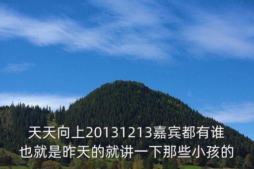 天天向上20131213嘉賓都有誰也就是昨天的就講一下那些小孩的