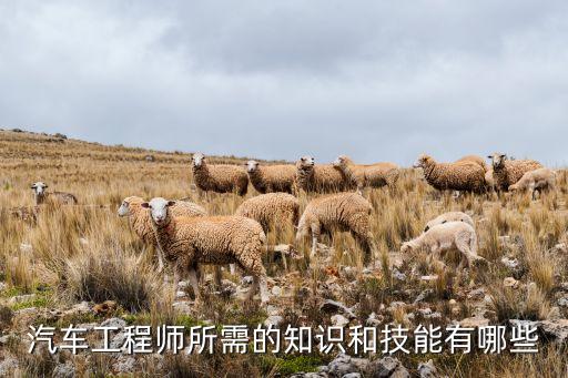 汽車工程師所需的知識和技能有哪些