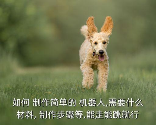 如何 制作簡單的 機器人,需要什么材料, 制作步驟等,能走能跳就行