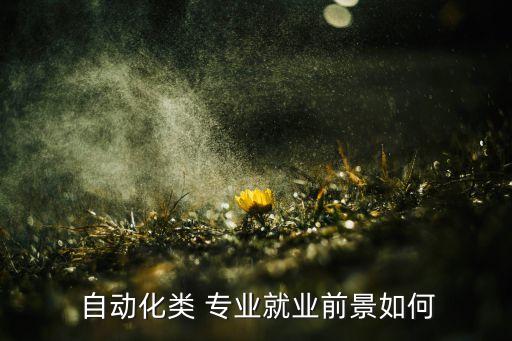  自動化類 專業(yè)就業(yè)前景如何