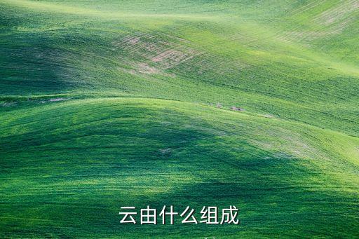 云由什么組成
