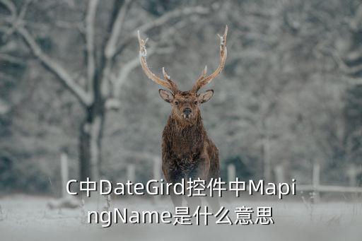 C中DateGird控件中MapingName是什么意思