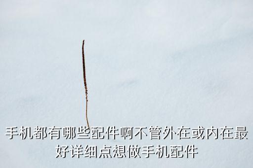 手機(jī)都有哪些配件啊不管外在或內(nèi)在最好詳細(xì)點(diǎn)想做手機(jī)配件