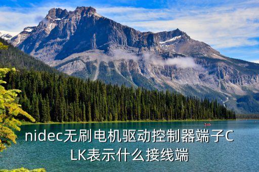 nidec無刷電機驅(qū)動控制器端子CLK表示什么接線端