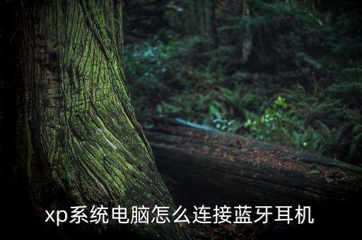 xp系統(tǒng)電腦怎么連接藍牙耳機
