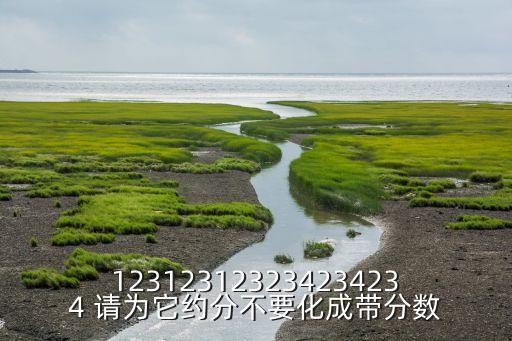 123123123234234234 請為它約分不要化成帶分?jǐn)?shù)