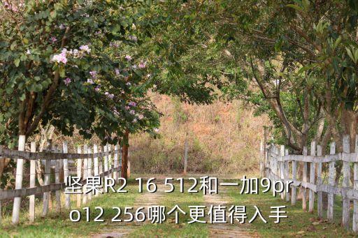 堅(jiān)果R2 16 512和一加9pro12 256哪個更值得入手