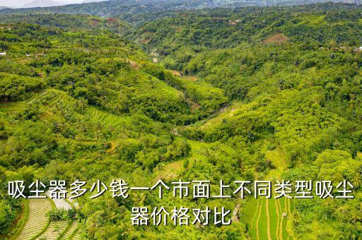 吸塵器多少錢一個市面上不同類型吸塵器價格對比