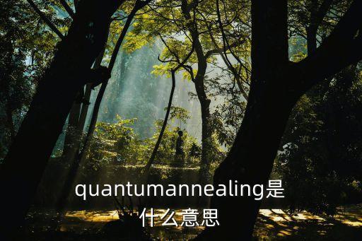 quantumannealing是什么意思