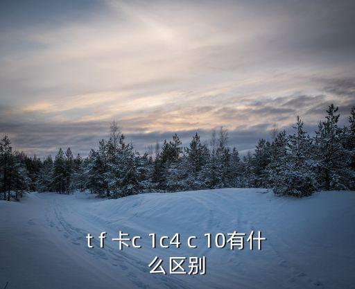 t f 卡c 1c4 c 10有什么區(qū)別