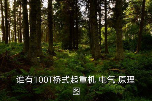 誰有100T橋式起重機 電氣 原理圖