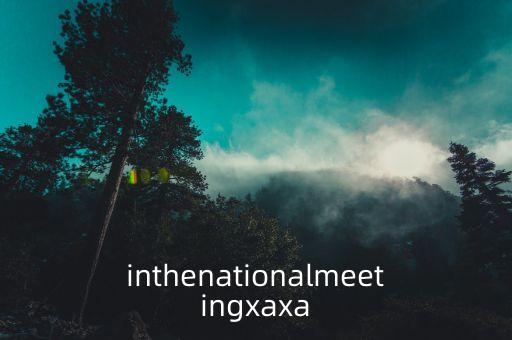 國際會議，inthenationalmeetingxaxa