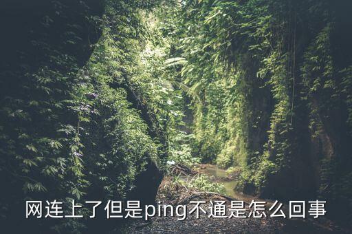 ping不通，Ping不通怎么辦