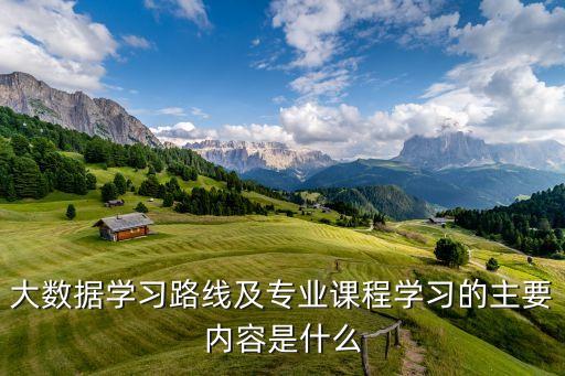 大數(shù)據(jù)學習路線及專業(yè)課程學習的主要內(nèi)容是什么