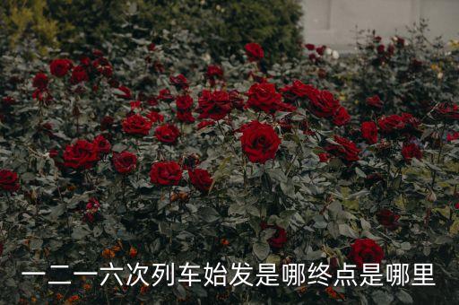 一二一六次列車(chē)始發(fā)是哪終點(diǎn)是哪里