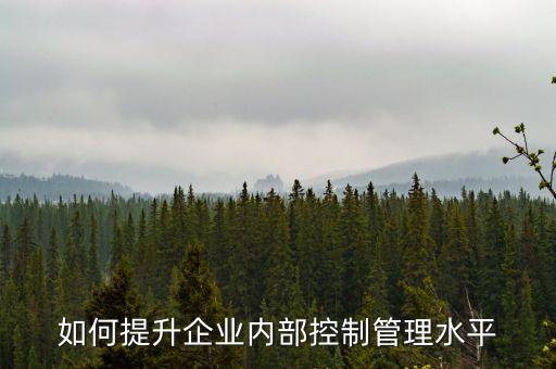 如何提升企業(yè)內(nèi)部控制管理水平