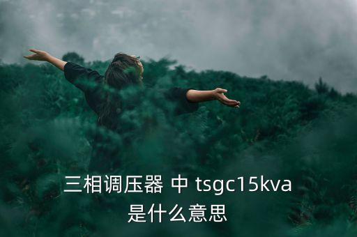 三相調(diào)壓器 中 tsgc15kva是什么意思